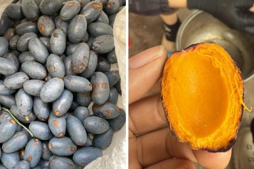 Loại trái cây có nhiều ở các tỉnh Đông Bắc, giàu vi chất, đắt đỏ, người tiêu dùng 'săn lùng' ráo riết