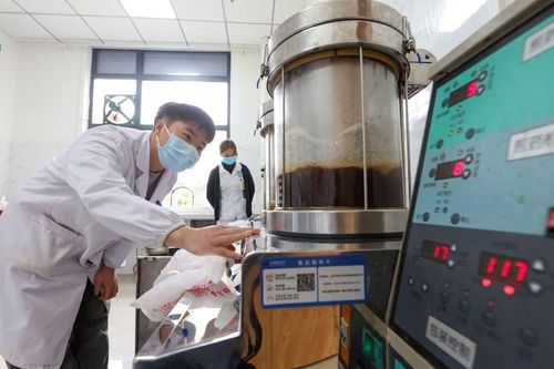 WHO nghiên cứu lợi ích của y học cổ truyền