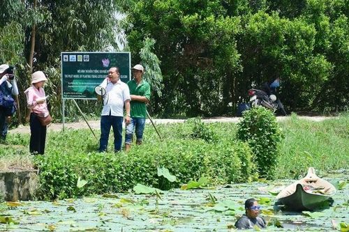 An Giang ứng dụng công nghệ, chuyển sản xuất nông nghiệp xanh