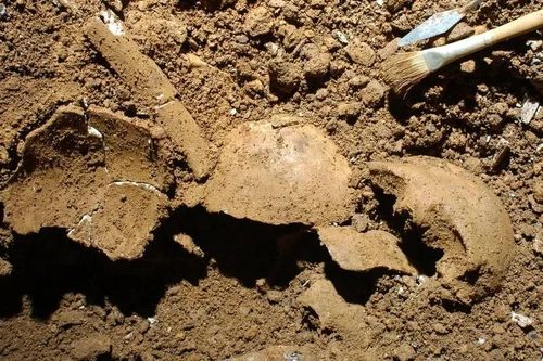 Kiểm tra hài cốt 3.700 năm tuổi, phát hiện bí mật gây sốc