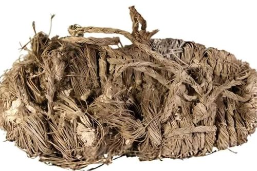 Ngỡ ngàng chiếc dép 650 năm tuổi trong tổ kền kền hang động