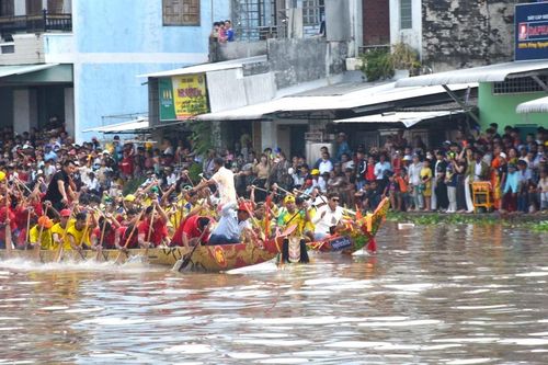 Trèo cây, leo nóc nhà xem đua ghe ngo ở Cà Mau