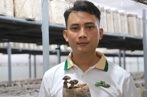 Gác 3 bằng đại học, chàng trai miền Tây về quê trồng nấm công nghệ cao