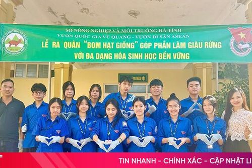 Gieo những mầm xanh thông qua mô hình 'Bom hạt giống'
