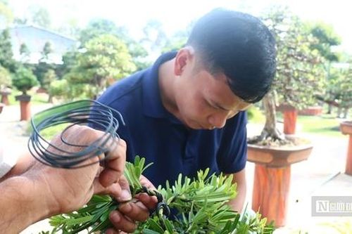 Câu chuyện phía sau bảo tàng bonsai trị giá hàng triệu USD ở Đồng Tháp