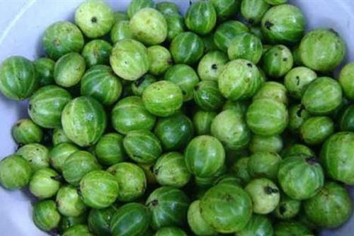 Loại quả trước mọc dại nay được người dân vun xới, phải nấu với thịt ba chỉ mới ngon đúng điệu