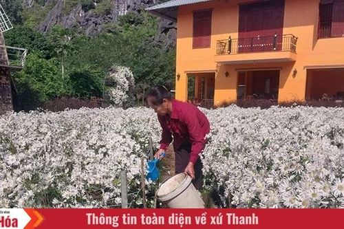 Ở vườn hoa 4 mùa...