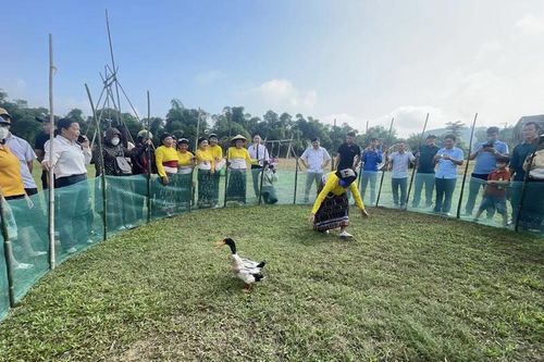 'Toàn dân đoàn kết xây dựng đời sống văn hóa' ở Thường Xuân