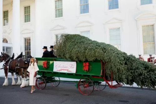 Washington D.C: Chiêm ngưỡng vẻ đẹp Nhà Trắng mùa Giáng sinh 2025