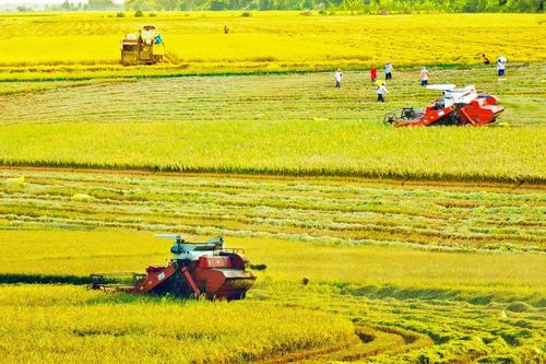 Để hồi sinh mùa màng…