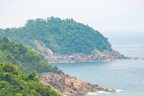 Sơn Trà, mùa lá mới