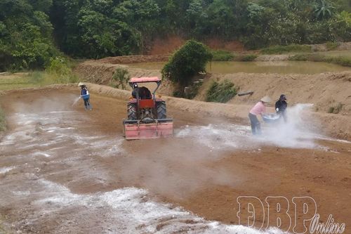 Dấu ấn xóa đói giảm nghèo ở Na Son