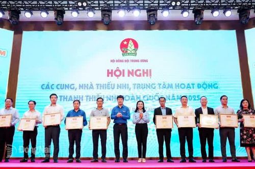 Nhiều tập thể, cá nhân của Đồng Nai được Hội đồng Đội Trung ương khen thưởng