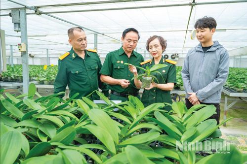 Mãi xứng danh Bộ đội Cụ Hồ