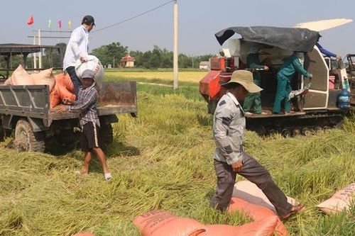 Hiệu quả từ Quỹ tín dụng nhân dân Điền Hòa
