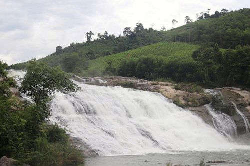 ERPA: Bảo vệ rừng, phát triển kinh tế xanh gắn với bảo tồn, gìn giữ bản sắc văn hóa truyền thống miền Tây Nghệ An