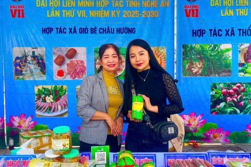 Hội chợ xanh kinh tế tập thể, hợp tác xã và làng nghề Nghệ An năm 2025: Kết nối sản xuất - mở rộng thị trường tiêu thụ