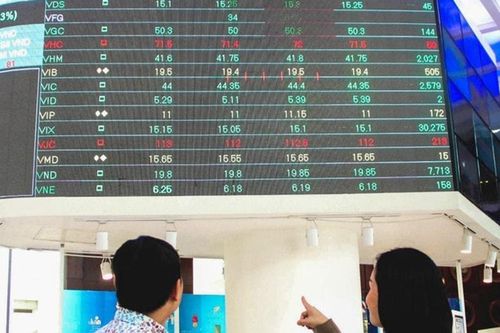 Nghiên cứu thị trường chuyên biệt cho doanh nghiệp khởi nghiệp