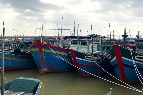 Nhiều tàu cá của ngư dân ở Huế nằm bờ do chưa nhận được kinh phí hỗ trợ nhiên liệu