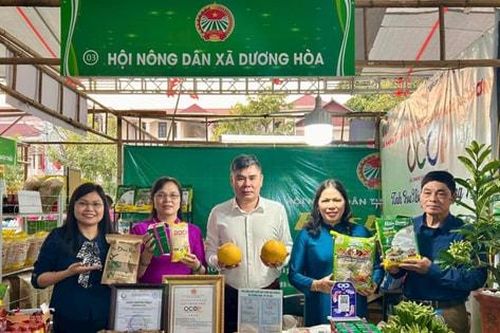 Nông dân Dương Hòa chung sức đẩy lùi nghèo khó