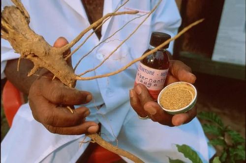 Ibogaine và câu chuyện pháp lý