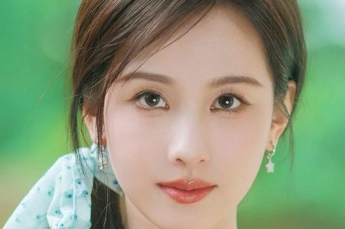 Trần Đô Linh được khen có bài cảm ơn hay đến hoàn hảo ở Tinh Quang Đại Thưởng