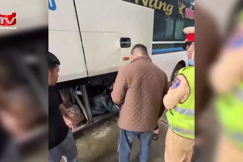 Cận cảnh chặn bắt xe khách vận chuyển hàng loạt cá thể động vật rừng đông lạnh