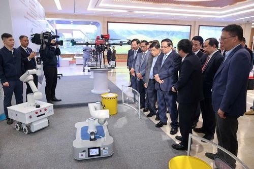 'Bộ giảm xóc' giúp quá trình phát triển số