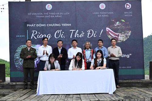 Chung tay trồng rừng bản địa gắn với du lịch sinh thái tại Đà Nẵng