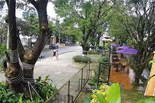 Lan truyền video ghi cảnh người đàn ông dùng cây đánh 3 bé trai trên đường
