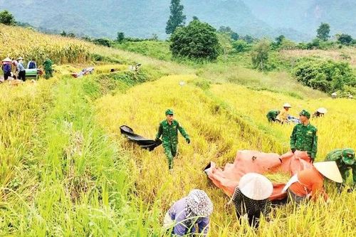 Bài 2: Khi biên giới sáng đèn