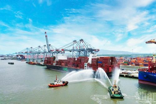Thành phố Hồ Chí Minh: siêu cảng dẫn đầu trong bảng xếp hạng quốc tế