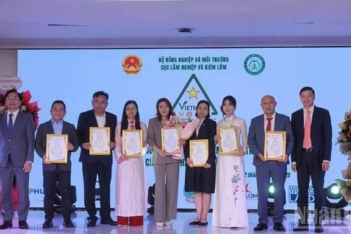 Ra mắt nhãn hiệu chứng nhận 'Gỗ Việt Nam', nâng tầm vị thế ngành gỗ Việt