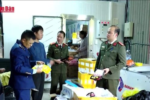 Phát hiện gần 1,2 tấn thực phẩm đông lạnh quá hạn sử dụng