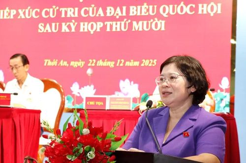 Cử tri TPHCM lo lắng vì tội phạm công nghệ cao ngày càng tinh vi