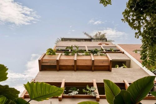 Khám phá ngôi nhà 5 tầng 'biết thở' giữa lòng thành phố