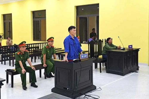 Nghịch tử hành hung mẹ, đâm cán bộ ở Cà Mau lĩnh án 11 năm tù