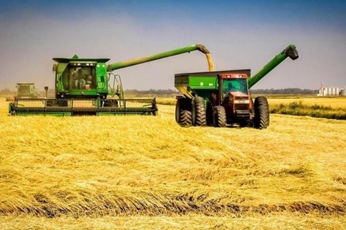 Nga áp đặt hạn ngạch xuất khẩu gạo