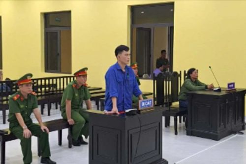 'Nghịch tử' đánh mẹ, chống người thi hành công vụ lĩnh án