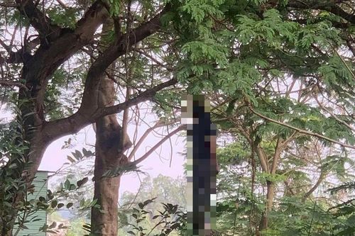 Hốt hoảng phát hiện người đàn ông chết treo cổ trên cây ven đường