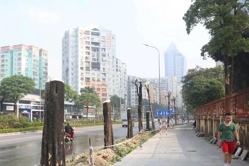 Hà Nội xén vỉa hè, chặt chuyển cây xanh