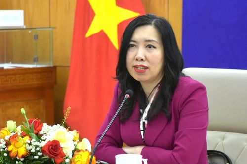 Sắp tổ chức hội nghị toàn quốc về công tác người Việt ở nước ngoài