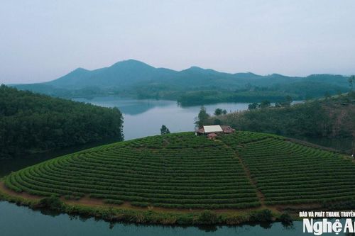 Cận cảnh dự án nghìn tỷ của Cienco 4 bị 'lãng quên' nhiều năm