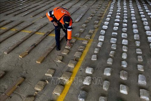 Hải quân Colombia thu giữ 27 tấn cocaine