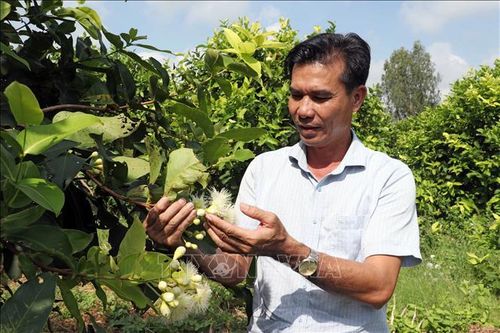 Thi đua yêu nước: Tư duy của người nông dân hiện đại
