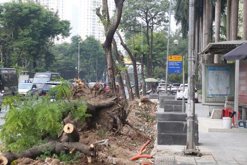 Hà Nội chặt cây, xén vỉa hè mở rộng tuyến phố giờ nào cũng tắc