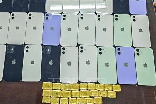Khởi tố 2 đối tượng vận chuyển vàng trái phép qua biên giới