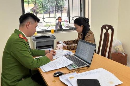 Lừa đảo cho vay tiền qua mạng, em gái và anh trai cùng bị bắt