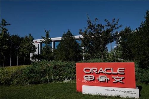 Vì sao Oracle trở thành 'phép thử' của nỗi lo bong bóng AI?