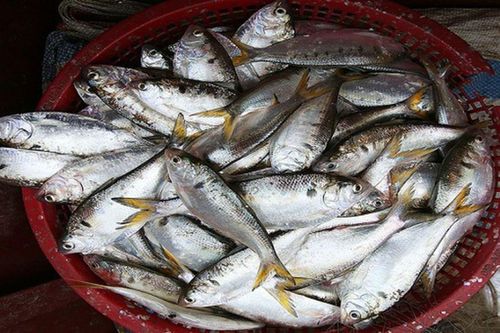 Món cá kho đặc sản của Hải Phòng, ăn một lúc hết 5 bát cơm